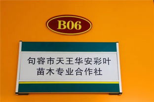 喜訊！華東森林產(chǎn)品電商城入選首批江蘇省鄉(xiāng)鎮(zhèn)電子商務(wù)特色產(chǎn)業(yè)園區(qū)