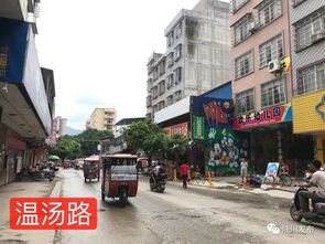 陸川縣市政道路工程建設取得階段性進展，城市交通網絡持續(xù)優(yōu)化